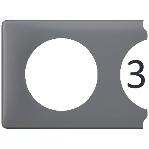 66733